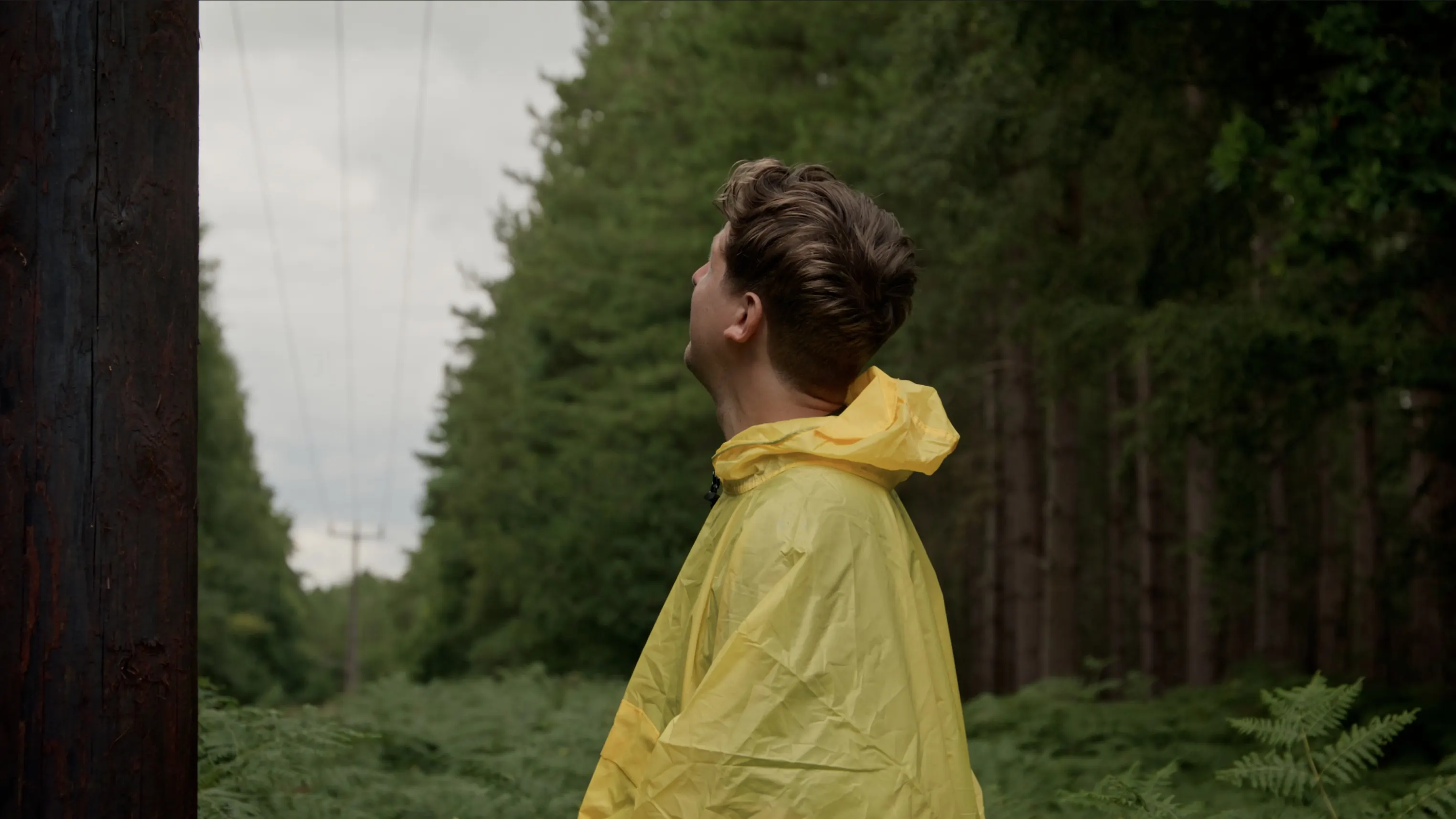 Mark G Smith as Peter looks up at the power lines running through the forest